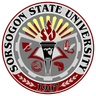 Sorsu Logo